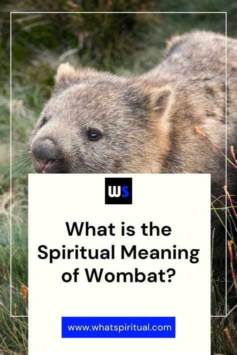 Symbolic meaning of wombat in dreams  Therefore, people who have the mountain lion totem will often be highly ambitious individuals