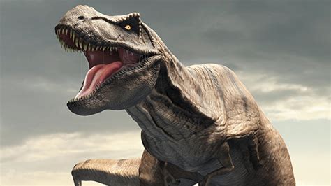 T-rex dinossauro cromado  " Tyrannosaurus Rex, latin for tyrannical king, is one of the largest carnivores in the history