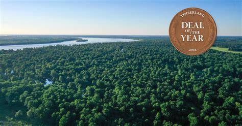 2024 Timberland Deal of the Year: Project Razorback - raincitystudios.com