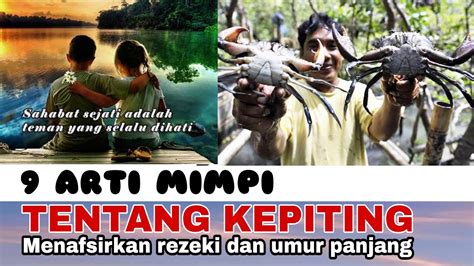 Tafsir mimpi kepiting COM - Ada beberapa arti mimpi tentang kepiting