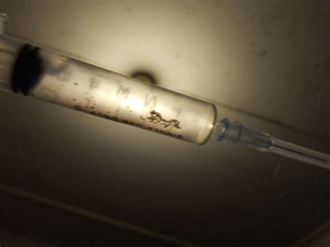 Tam spore syringe 5in 16ga needle will be provided for each spore filled syringe