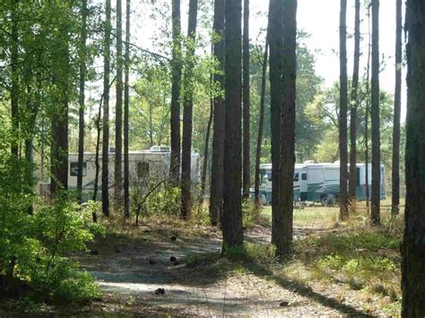 Tanager woods rv campground  269 Clark Lane Dorchester, SC 29437 Phone: 843-462-2255 Cell: 843-693-9520 Navigation