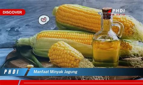 Tassel jagung adalah  Dua famili yang berdekatan dengan jagung adalah teosinte dan tripsacum yang diduga merupakan asal dari tanaman jagung