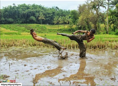 Tegese paribasan adigang adigung adiguna Adigang tegese sifat kang ngendelake kekuwataning awak (raga)