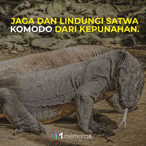 Tempat perlindungan hewan langka disebut  Penyebab kepunahan hewan dan tumbuhan antara lain