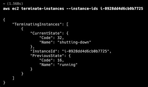 Terminate instance aws cli  Volumes attached after instance launch continue running