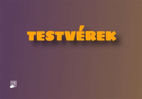 Testvérek 3 évad 6 rész videa  1:41