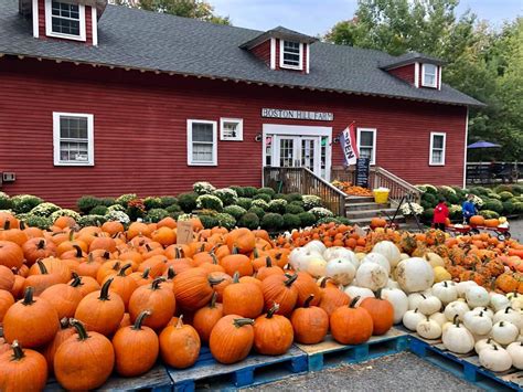 Tewksbury ma dispensaries  This store is located in close proximity to the Pheasant Lane Mall, one of the largest malls in New Hampshire, and in close proximity to an exit on Route 3