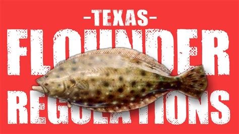 Texas flounder size limit  Sept