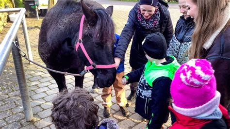 Therapeutisches reiten kostenübernahme aok Antrag Kostenübernahme therapeutisches Reiten (Sozialamt) von Andrea » 17