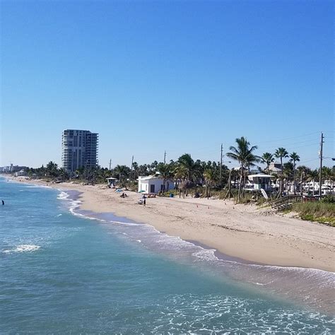 Things to do in dania beach florida  Von D