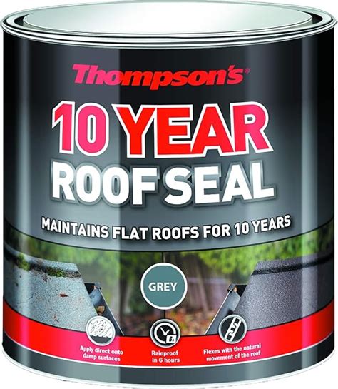 Thompson's 10 year roof seal grey 4l 22