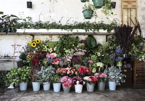 Thornbury florists melbourne  Quick View #V9# ROSE BOUQUET Preston