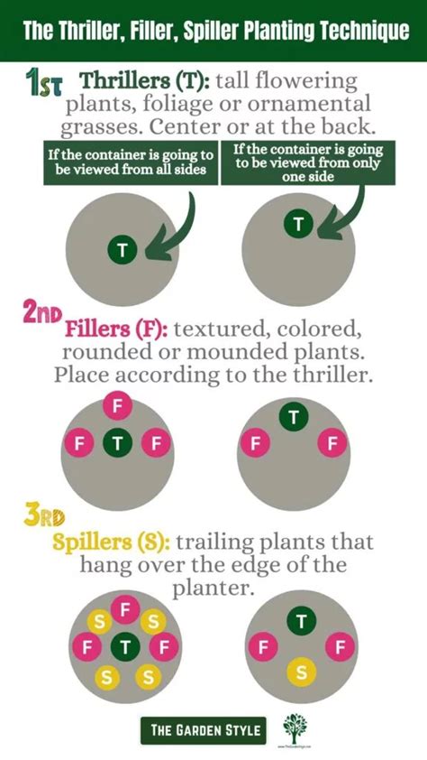 Thriller filler spiller diagram  Finally, the spiller is the plant that