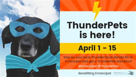 Thundercloud subs coupon <b></b>