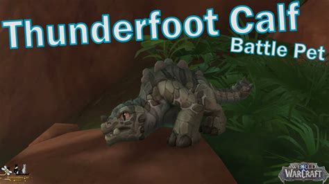 Thunderfoot calf 2