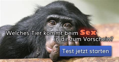 Tiersex geschichten Richtig, um Tiersex und um Geschichten darüber