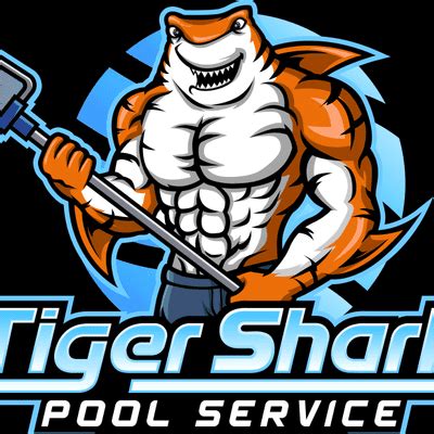 Tiger shark pool service  Paul C