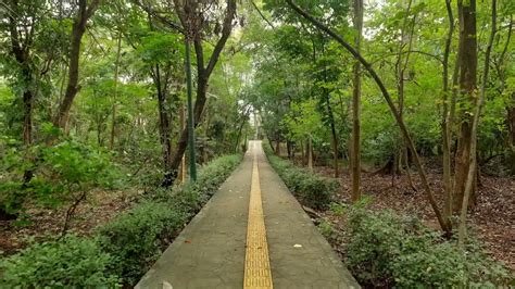 Tiket masuk hutan kota jambi  Taman Hutan Kota Satu di antara destinasi yang wajib dikunjungi adalah Taman Hutan Kota M Sabki