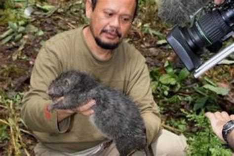 Tikus wirog terbesar  88) Jawaban