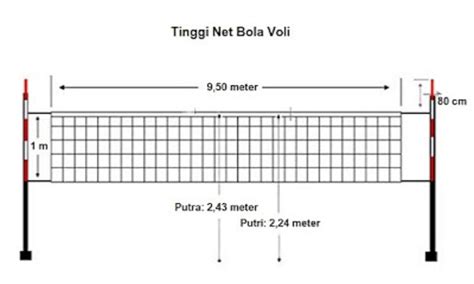 Tingginya net pada permainan bola voli putra yaitu  a