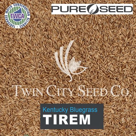Tirem kentucky bluegrass  Bluegrass is best adapted to well-drained, moist, fertile soils with a pH betweenKentucky bluegrass has found wide use as a general-purpose turf in home lawns, parks, insti-tutional grounds, high-maintenance cemeteries, athletic fields, and on golf course fairways, tees, and roughs