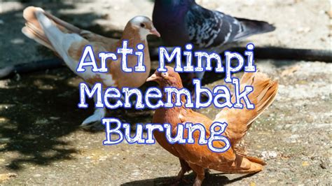 Togel burung dara  Apabila sobat mengalami mimpi ini, maka hal ini merupakan sebuah pertanda buruk