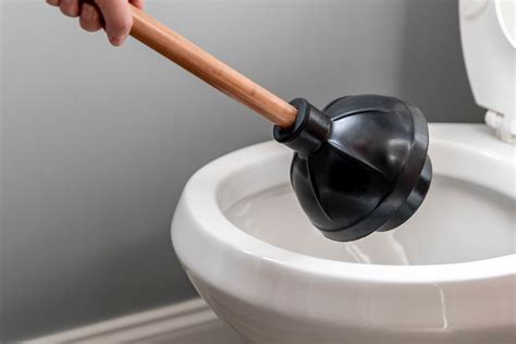 2024 Toilet plunger best as 