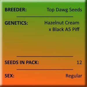 Top dawg seeds hazelnut piff regs 00