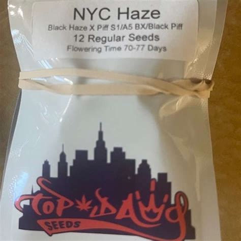 Top dawg seeds nyc haze  Save 20% Quick View