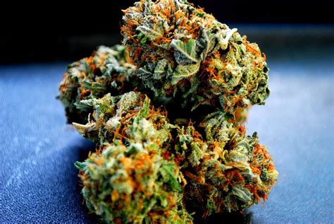 Top shelf cbd flower lbs  Login to view our Wholesale Pricing