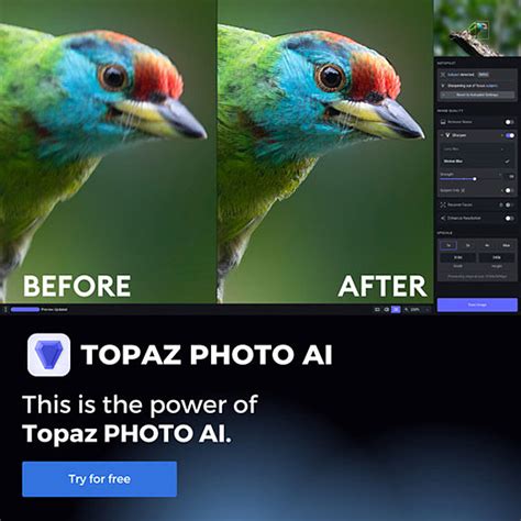 Toppal ai Topaz adds that Photo AI is designed to fit into a variety of workflows, from RAW or JPEG to Lightroom or Capture One, the company promises that it will feel significantly ore well-integrated than