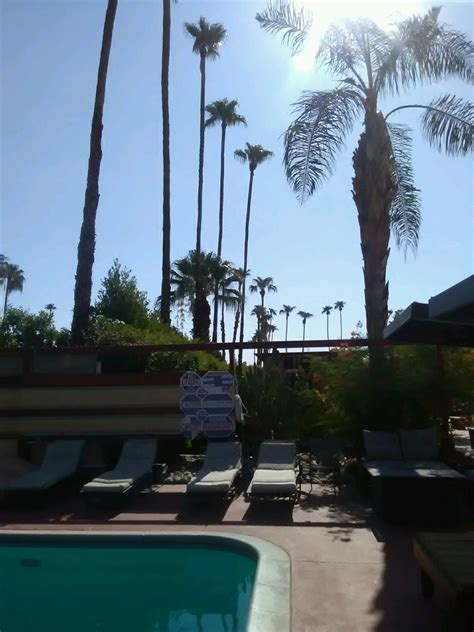 Tortuga del sol palm springs We would like to show you a description here but the site won’t allow us