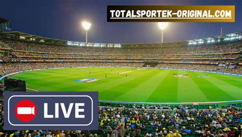 Totalsportek cricket Australia vs South Africa: Cricket World Cup semifinal – as it happened