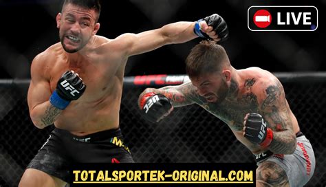 Totalsportek ufc UFC Fight Night: Rozenstruik vs