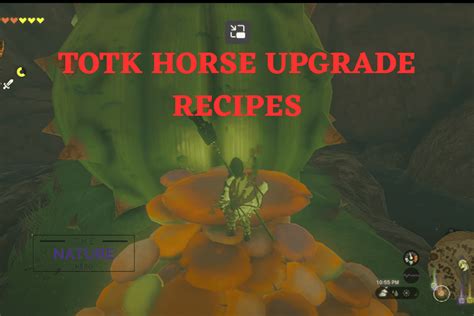 Totk horse god recipes 0