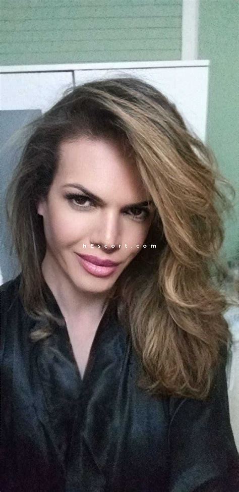 Trans santiago escort <b>otirovaF </b>