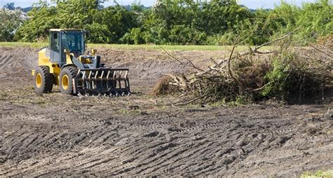 Tree planting whinmoor  • Call 811 before digging to have utility lines located and marked