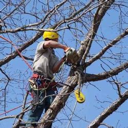 Tree service waterford ct  FREE ESTIMATE (888) 676-1303
