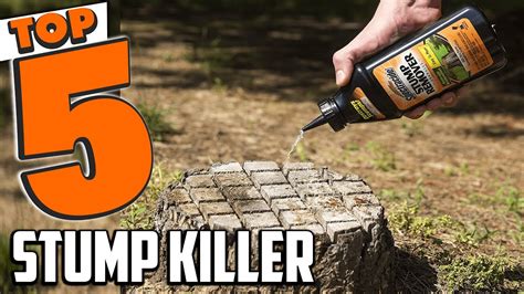 Tree stump killer screwfix Epsom salts will dry out the stump, & stop it taking up mositure, can take about a month, really big stumps a couple of months