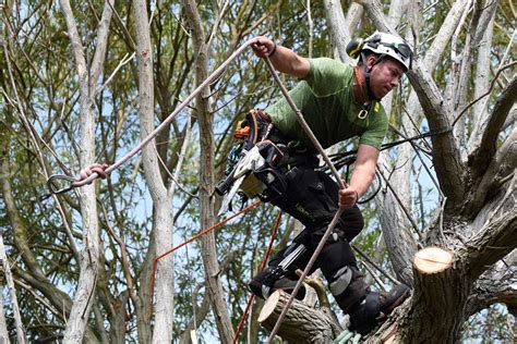 Tree surgeon whinmoor  There will be a great deal of debris to remove, and the average cost in London will be around £3,100 to £4,250