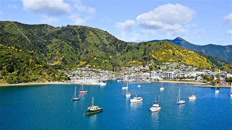 Trip advisor picton  Picton Yacht Club Hotel, Picton: See 612 traveller reviews, 346 photos, and cheap rates for Picton Yacht Club Hotel, ranked #11 of 18 hotels in Picton and rated 3