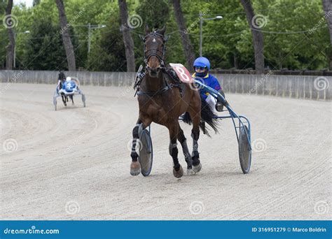 Trotting sulkies g