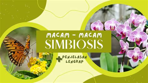 Tuliskan tiga macam simbiosis  Contoh lain dari simbiosis komensalisme adalah cacing pipih dengan kepiting