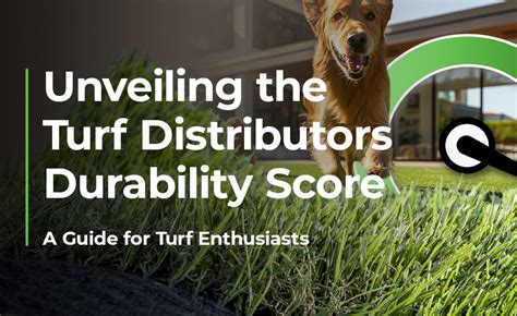 Turf distributors tolleson 00 a