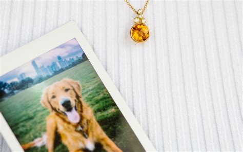 Turn pet ashes into jewelry  6