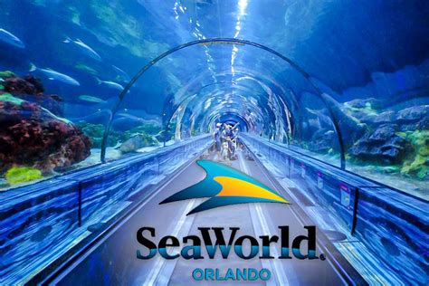 Turtle beach resort to seaworld  Movie World