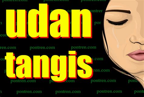 Udan tangis tegese Udan tangis :akeh wong-wong kang padha nangis