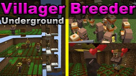 Underground villager breeder Business, Economics, and Finance