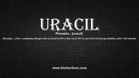 Uracil pronunciation  Quotes